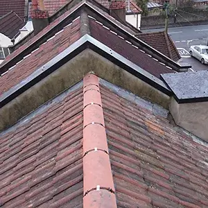 A bird is perched on the roof of a building.