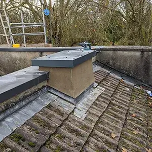 The roof of a building with a lot of moss growing on it.